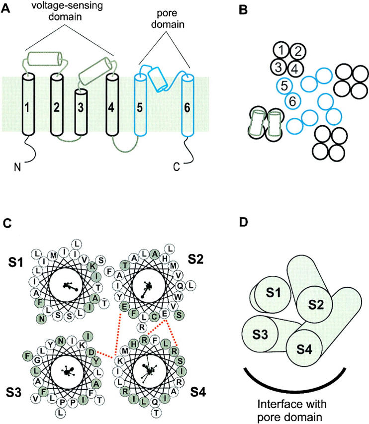 Figure 12