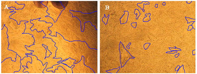 Fig. 9