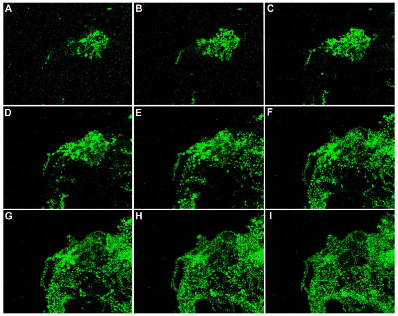 Fig. 11