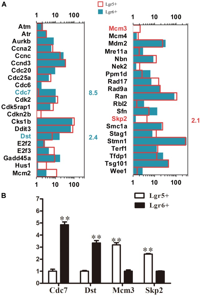 FIGURE 6