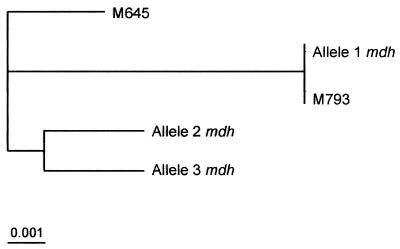 FIG. 5.