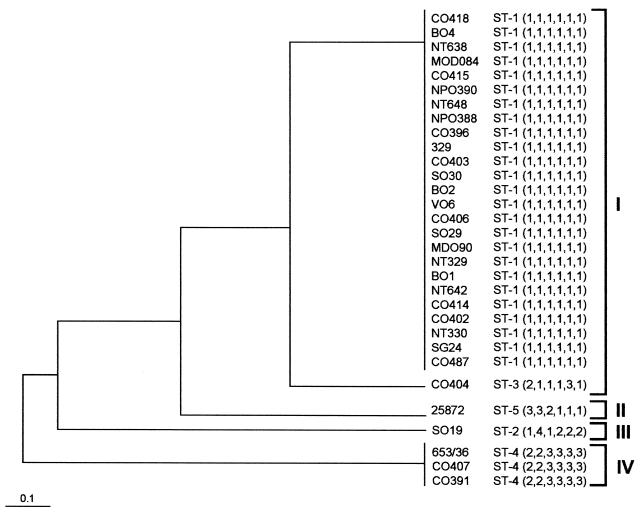 FIG. 4.