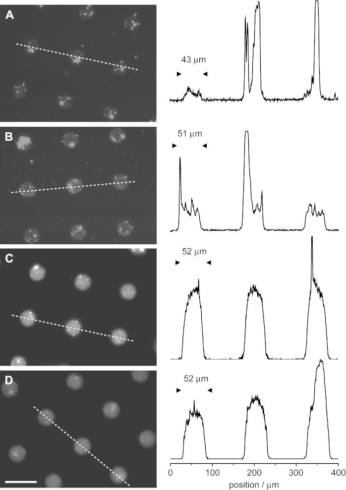 Fig. 4