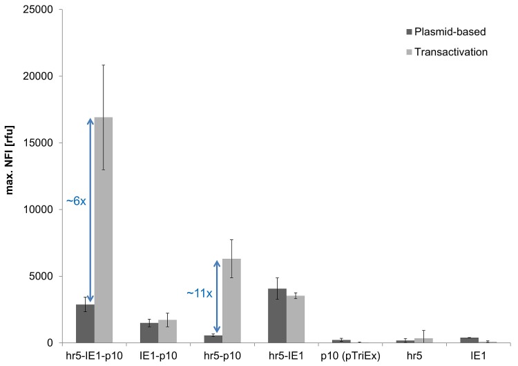 Fig 4