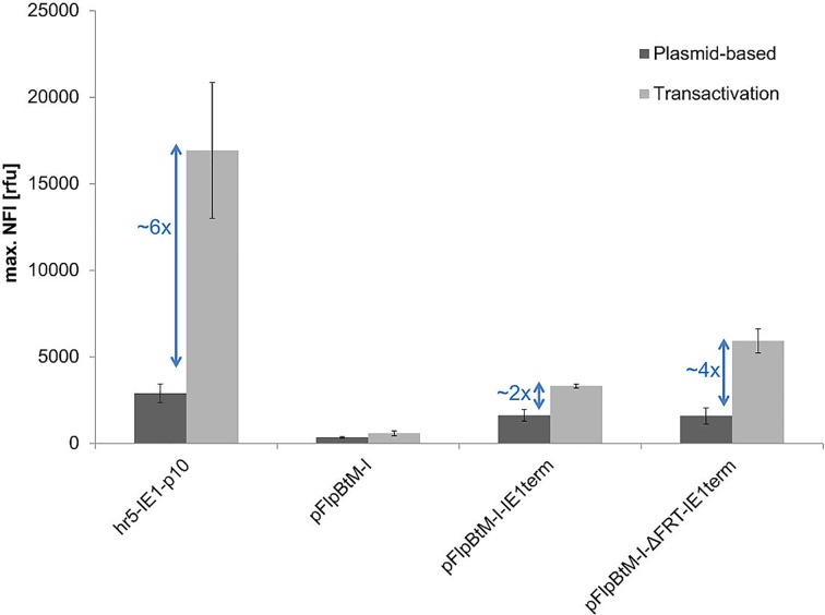 Fig 6