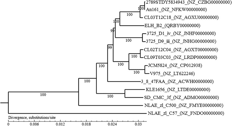 FIGURE 1