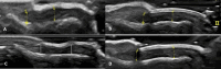 Fig. 9
