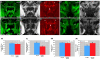 Fig. 9