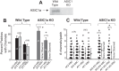 Fig. 13.