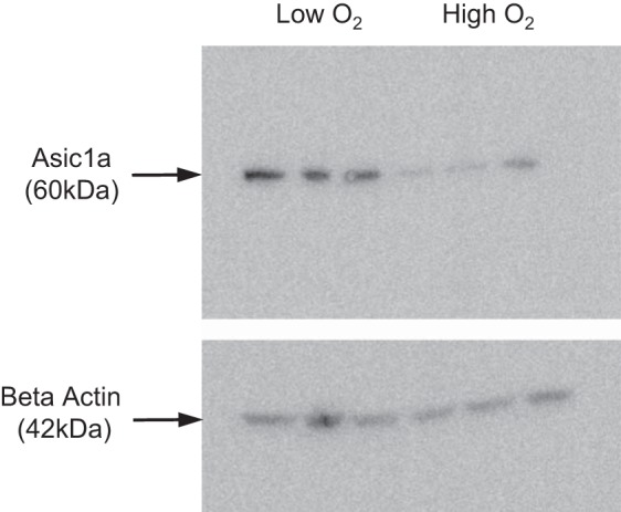 Fig. 15.