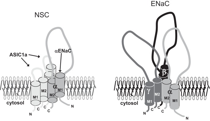 Fig. 16.