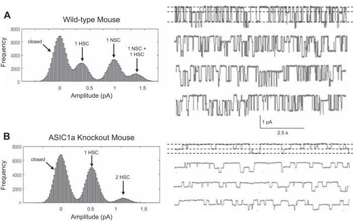 Fig. 12.