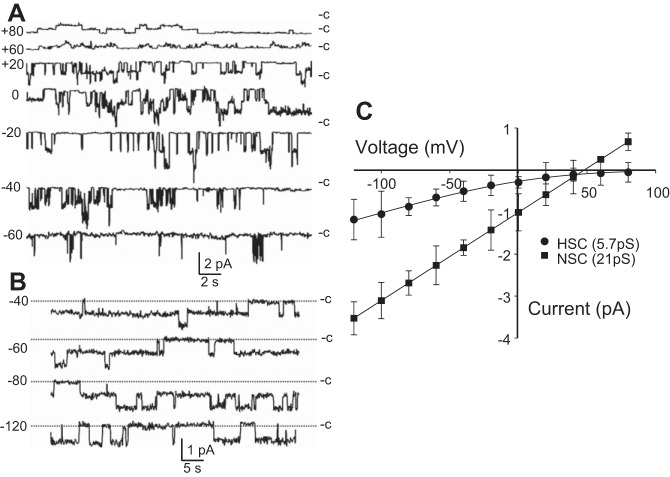 Fig. 1.