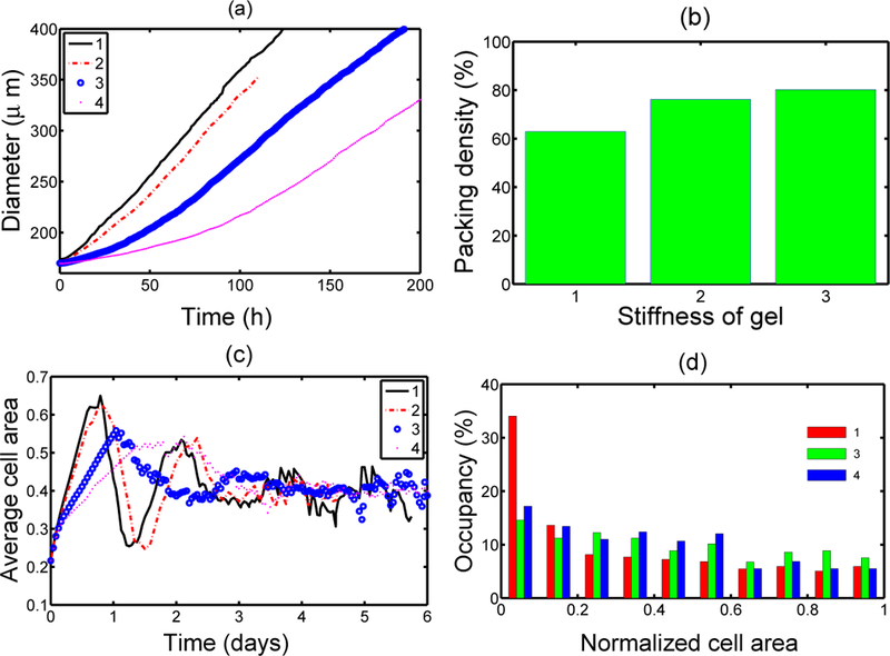 Figure 4: