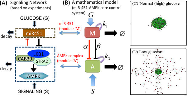 Figure 9: