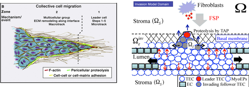 Figure 7: