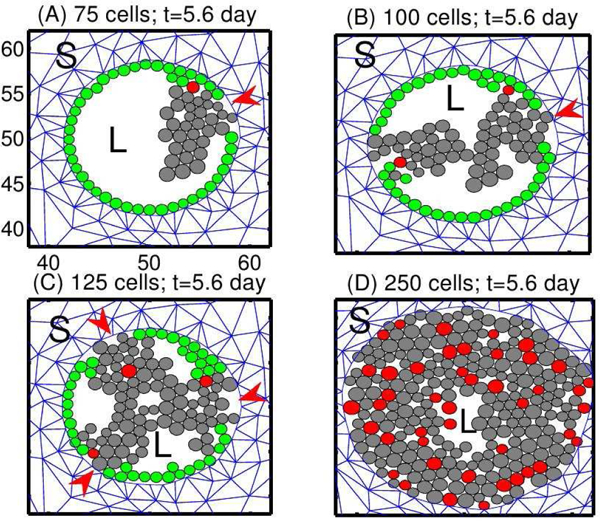 Figure 6: