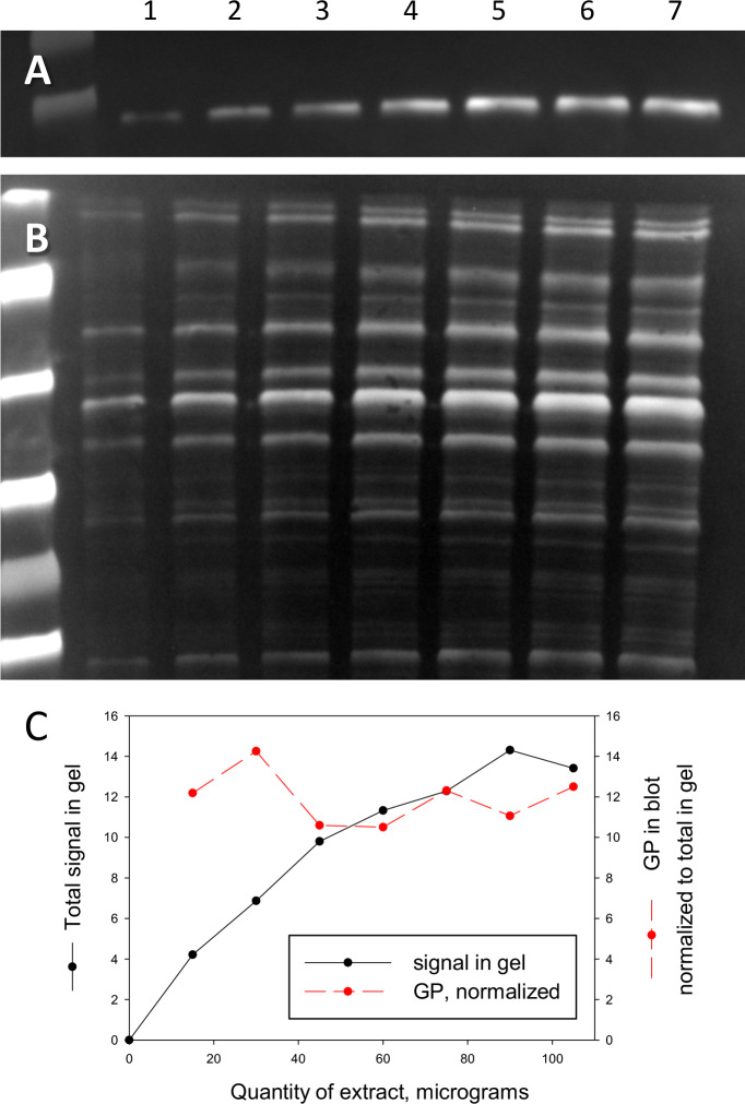 Figure 2—figure supplement 2.