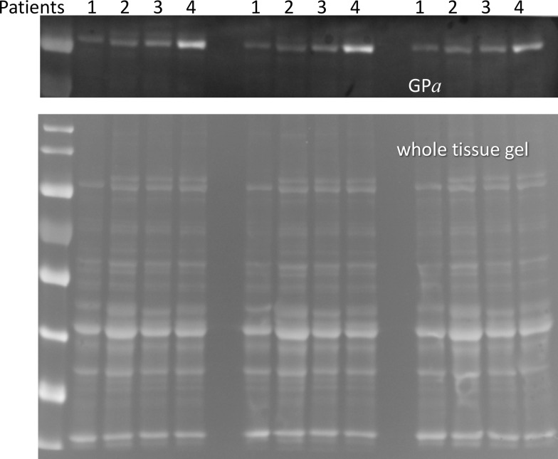 Appendix 4—figure 1.