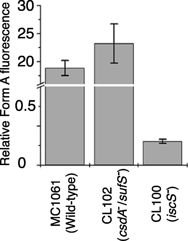 FIGURE 5.