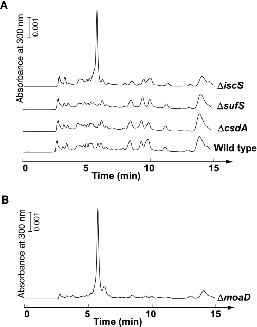 FIGURE 6.