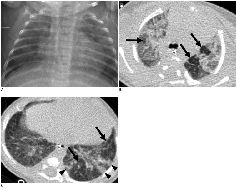 Fig. 5