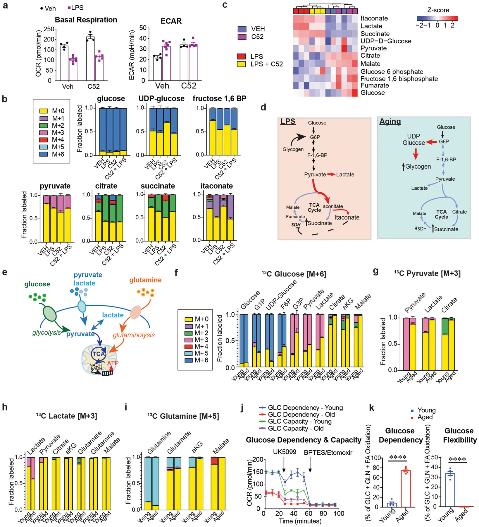 Extended Data Fig. 6 |