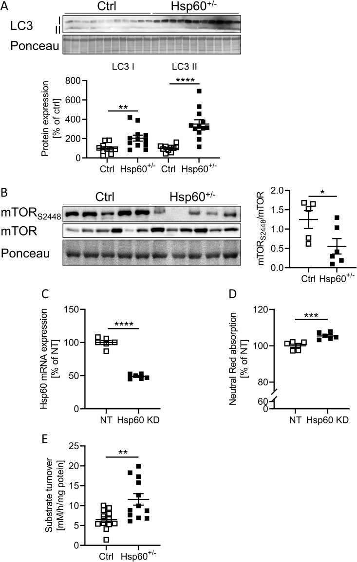 Figure 6