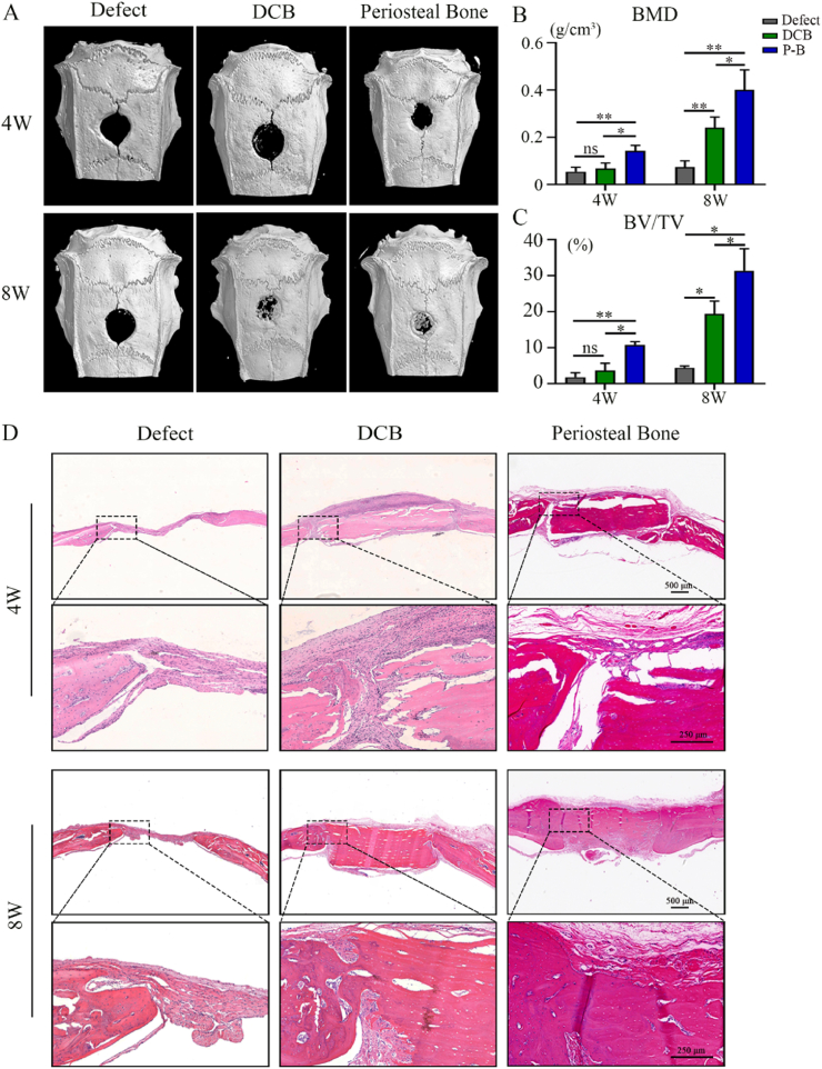 Fig. 8