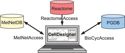 Fig. 1.