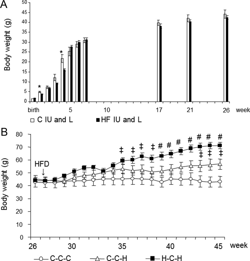 Figure 2.