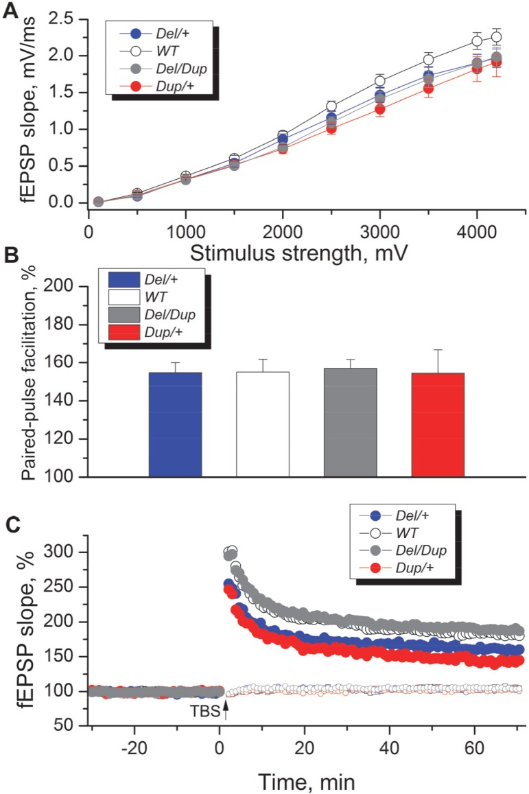 Fig 4