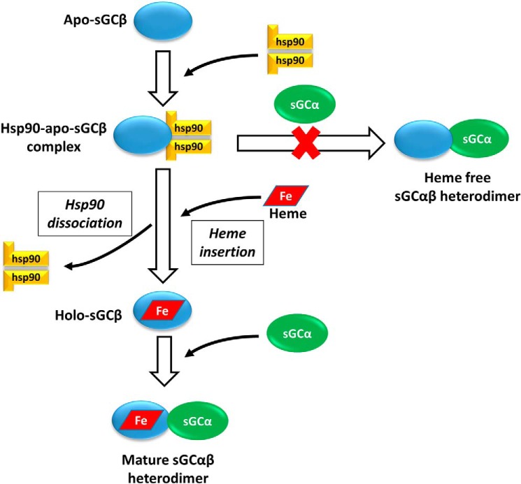 Figure 7.