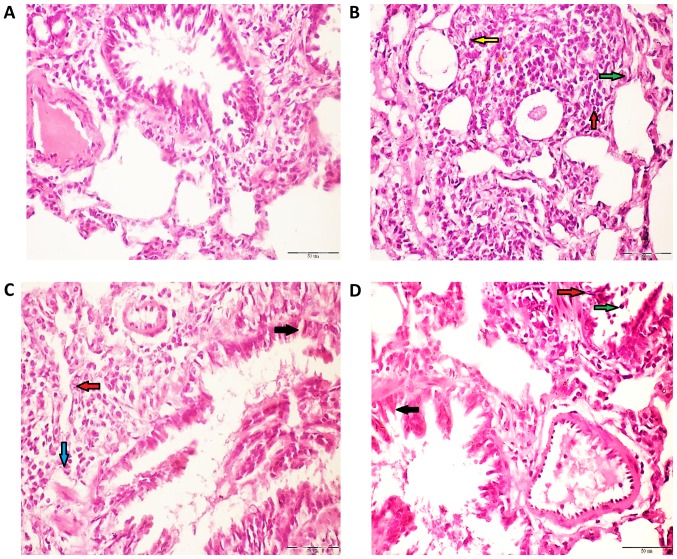 Figure 5.