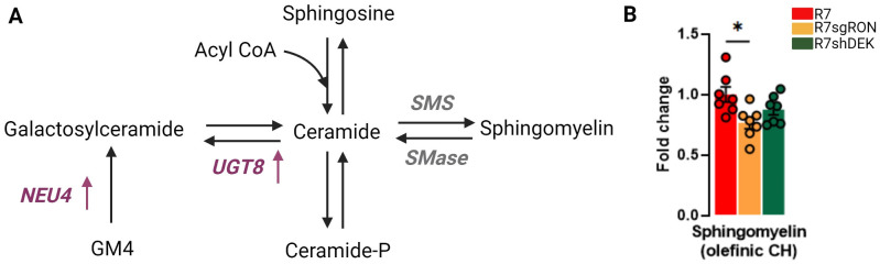 Figure 3