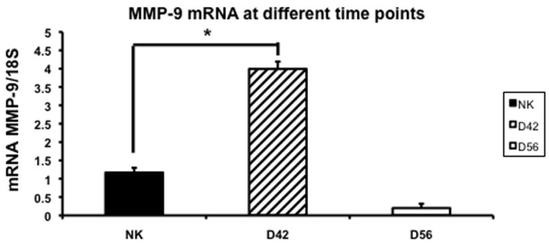 Fig. 6