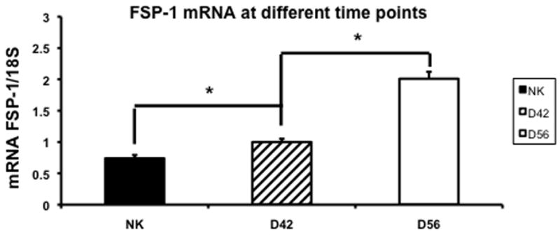 Fig. 9