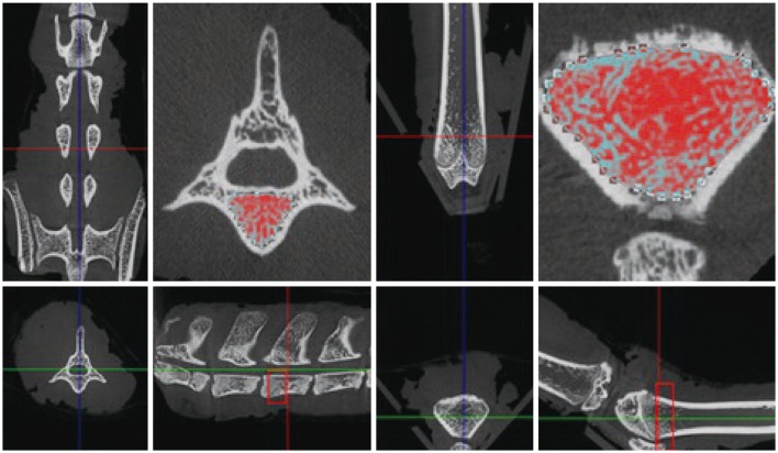 Fig. 2