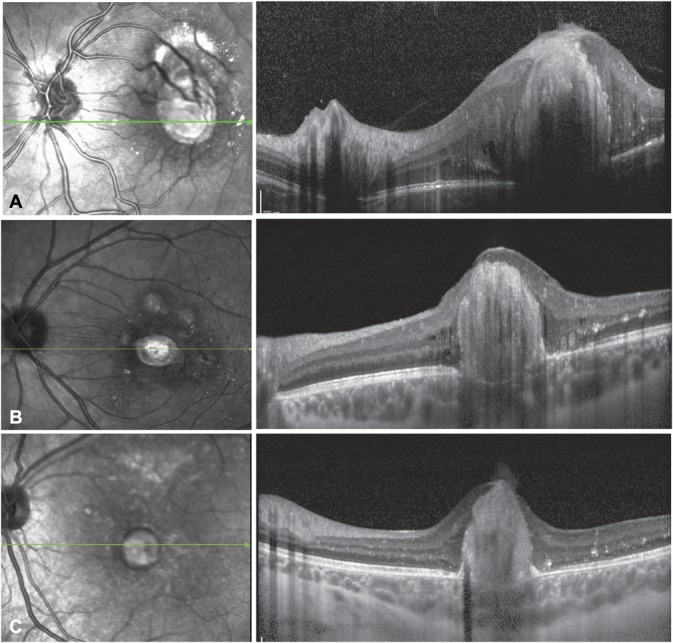 Fig. 4.