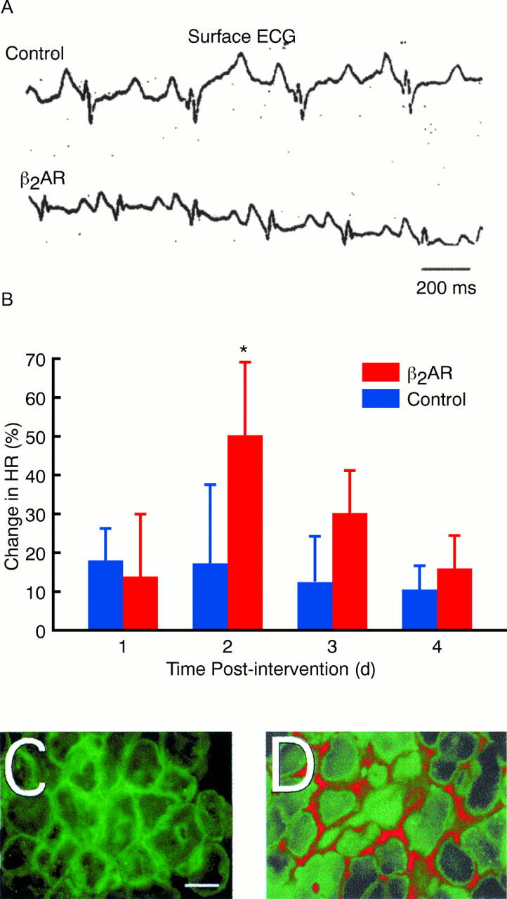 Figure 2  