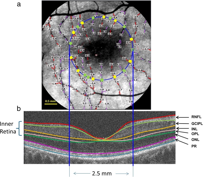 Fig. 2