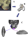 Fig. 1