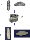 Fig. 2