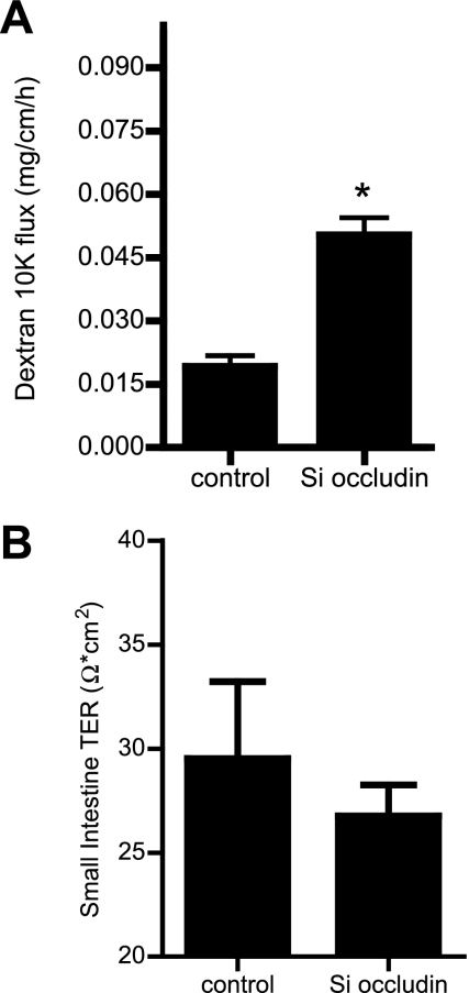 Fig. 8.