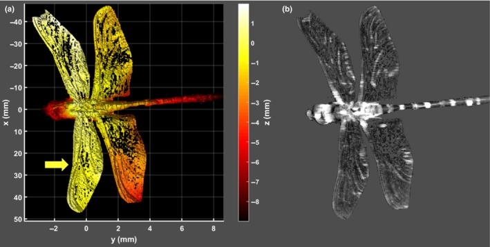 Figure 6