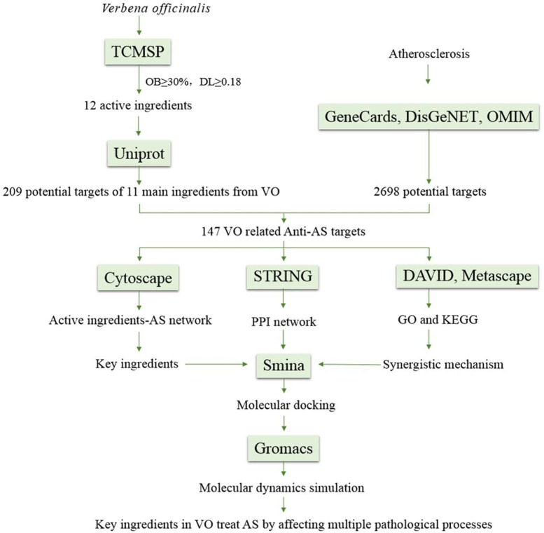 Figure 1
