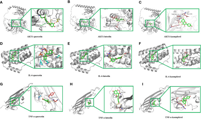 Figure 6