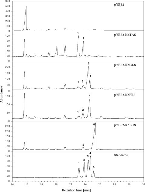 FIGURE 4.