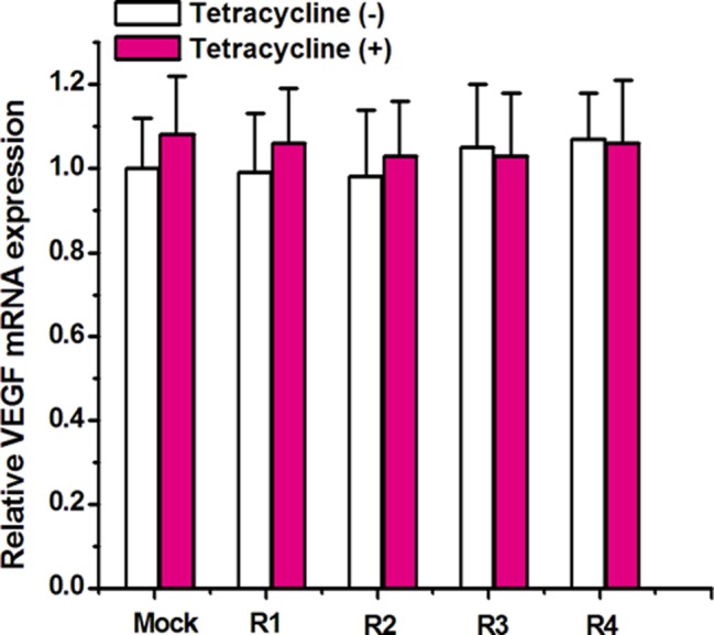 Figure 2—figure supplement 6.