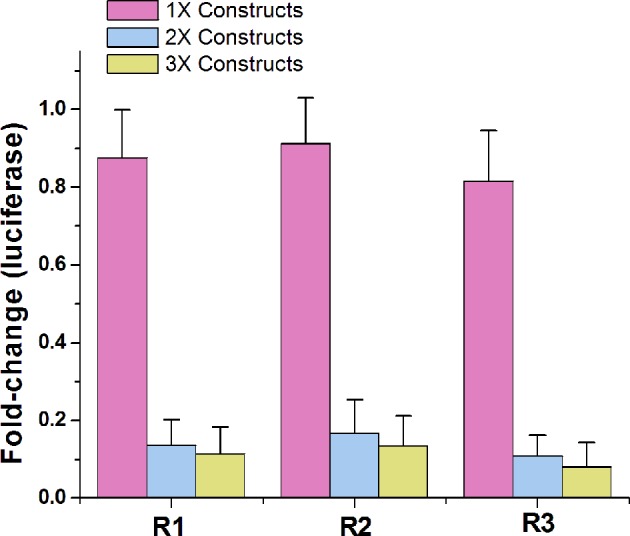 Figure 2—figure supplement 2.